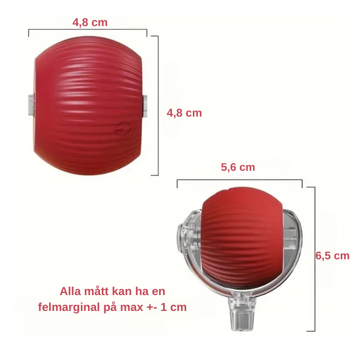 Trixi Bollen
