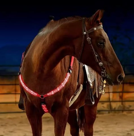 Night Rider – LED Breast - Se & Syns i Mörkret med LED + Reflex!