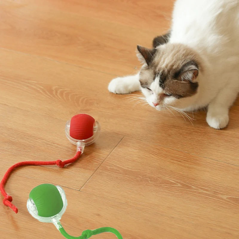 Trixi Bollen