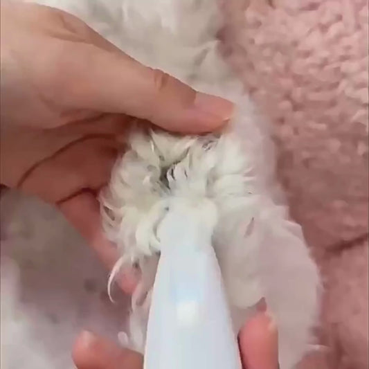 Hundtrimmer med LED Light - nytt lägre pris!